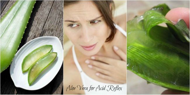 Comment utiliser l'aloe vera pour le reflux acide? [6 meilleures méthodes]